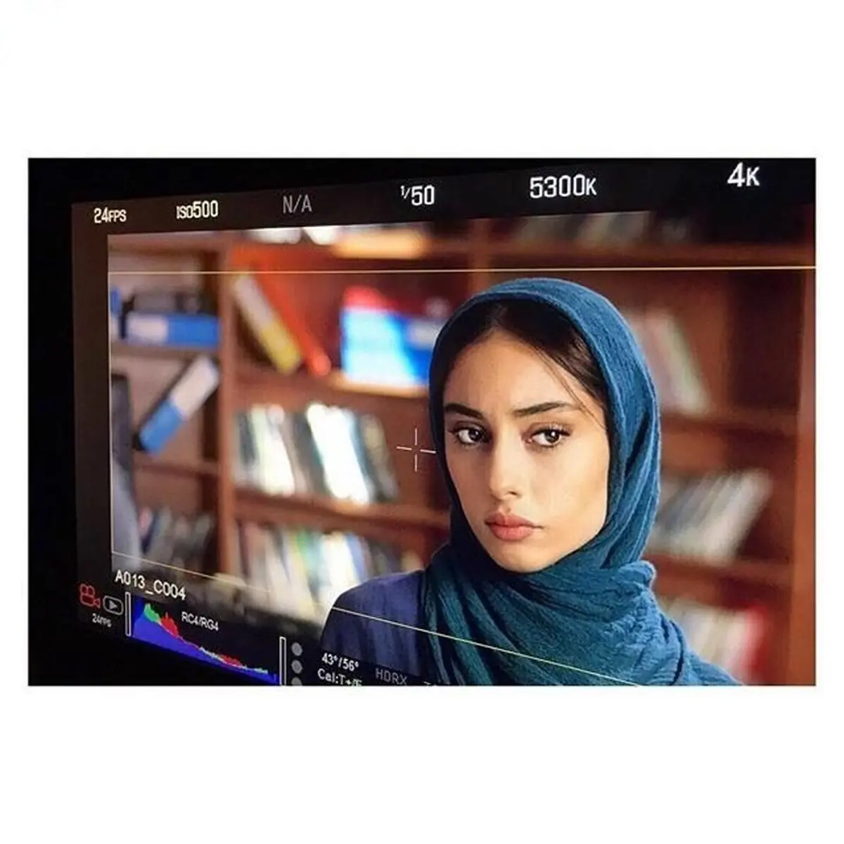 «ترلان پروانه» در فیلم سینمایی «سیاوش» | عکس