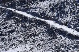 شگفت زدگی اماراتی ها از بارش برف!/تصاویر