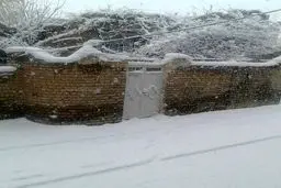 بارش برف در آذربایجان غربی/ عکس