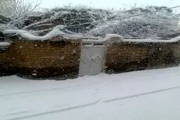 بارش برف در آذربایجان غربی/ عکس