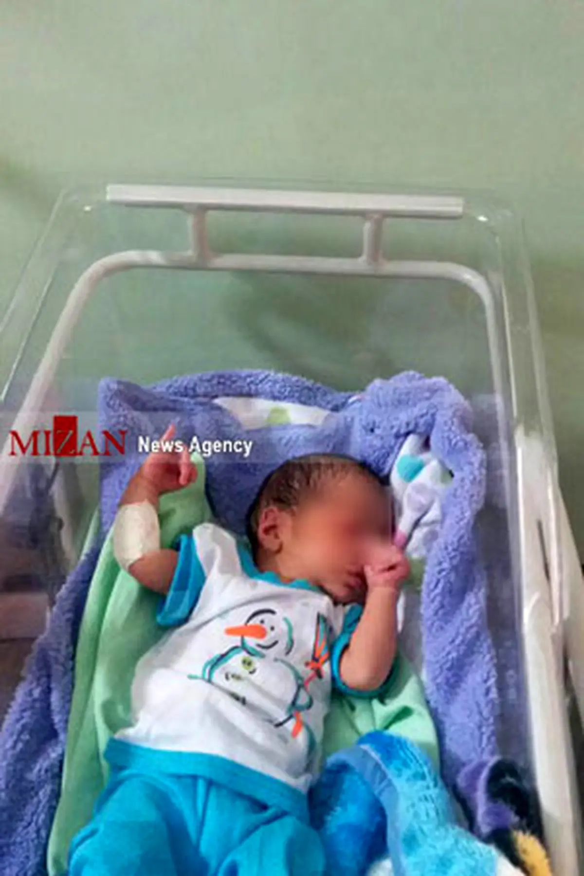 هجوم مورچه ها به نوزادان رها شده