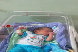 هجوم مورچه ها به نوزادان رها شده
