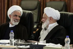 تصاویر / در حاشیه جلسه مجمع تشخیص مصلحت نظام