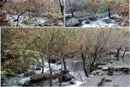 طبیعت زیبای درکه تهران / عکس
