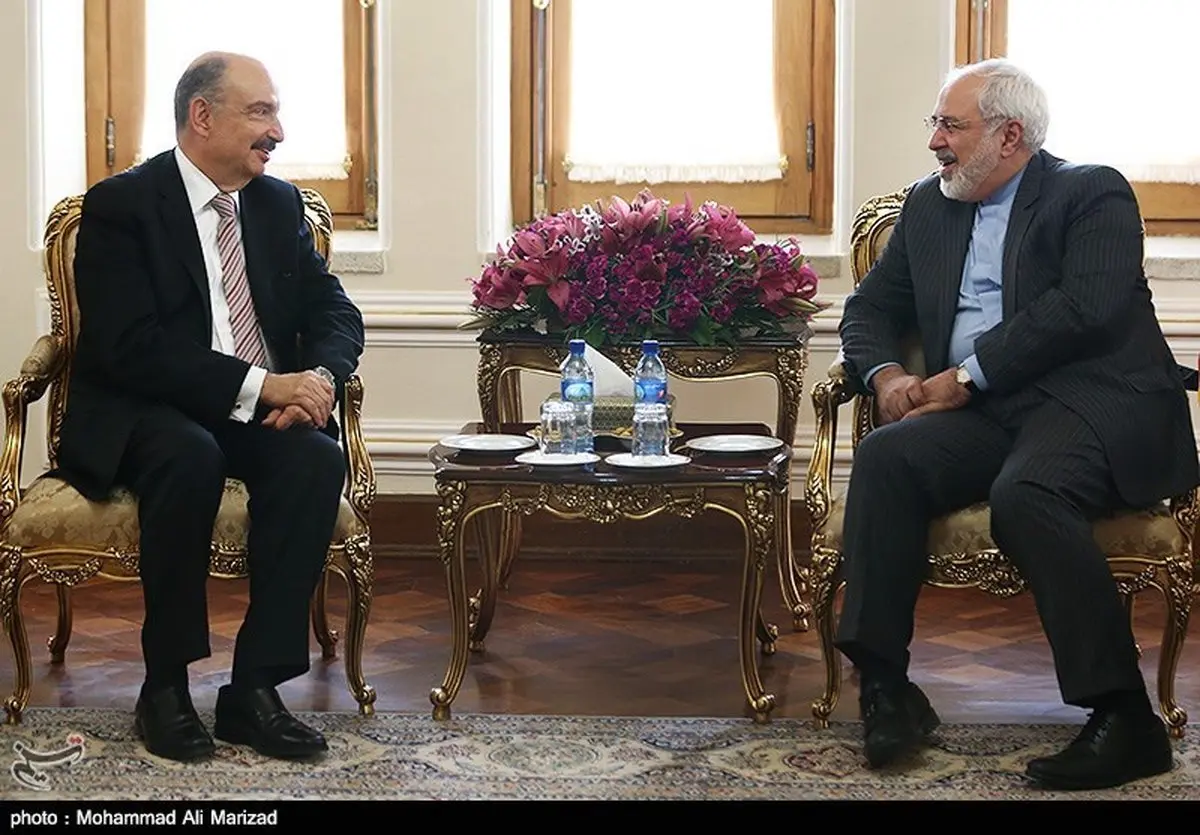 دیدار معاون وزیر امورخارجه مکزیک با ظریف/ عکس