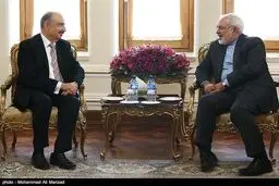 دیدار معاون وزیر امورخارجه مکزیک با ظریف/ عکس