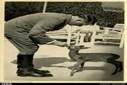 تصاویر کمتر دیده شده از خونخوار قرن بیستمی اروپا