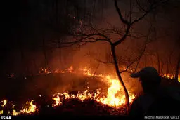 آتش سوزی در جنگل ناهار خوران گرگان/ تصاویر