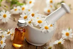 انواع روغن‌ های گیاهی برای زیبایی پوست و مو را بشناسید