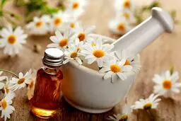 انواع روغن‌ های گیاهی برای زیبایی پوست و مو را بشناسید
