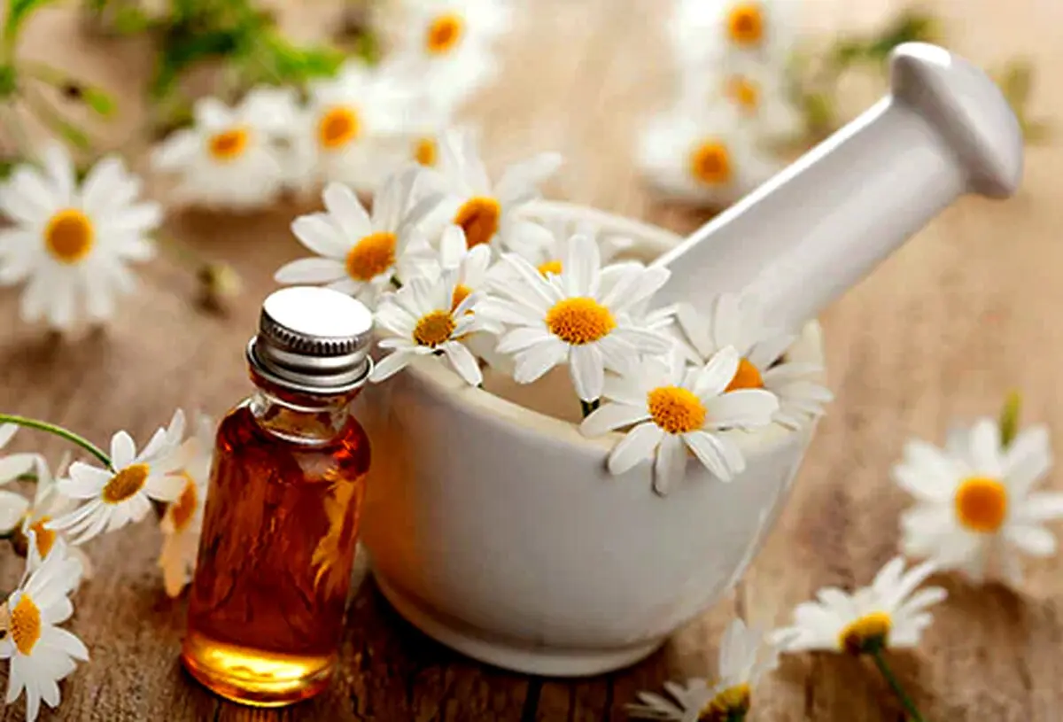 انواع روغن‌ های گیاهی برای زیبایی پوست و مو را بشناسید