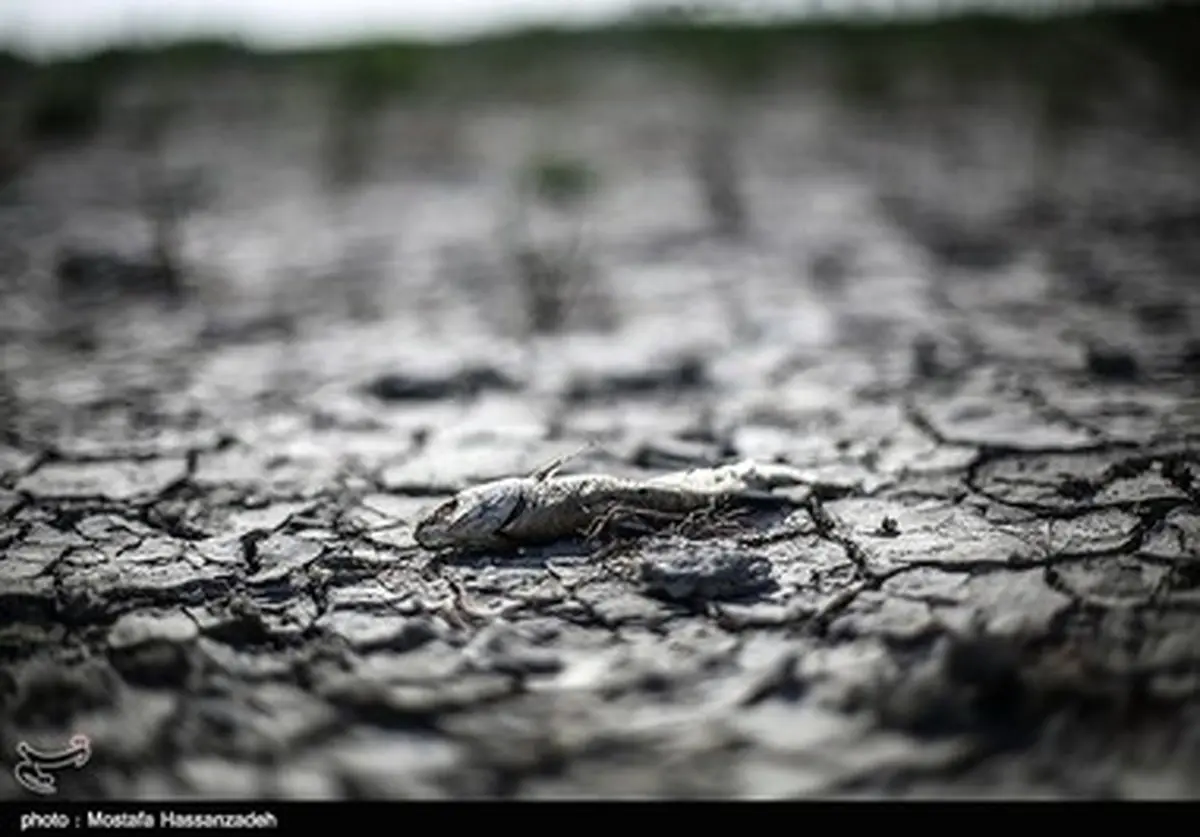 عقب نشینی آب دریا در بندر ترکمن/ تصاویر