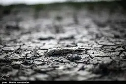 عقب نشینی آب دریا در بندر ترکمن/ تصاویر