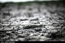 عقب نشینی آب دریا در بندر ترکمن/ تصاویر