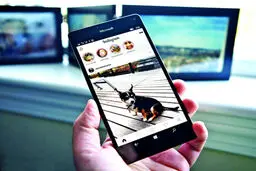 ١٠ ترفند ساده برای افزایش فالوور در اینستاگرام