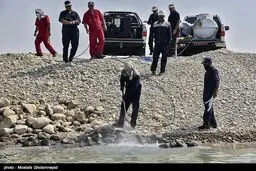 تصاویری از آلودگی نفتی در سواحل ماهشهر