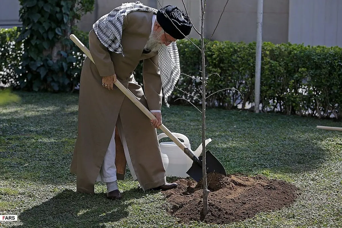 مقام معظم رهبری دو اصله نهال میوه غرس کردند + عکس