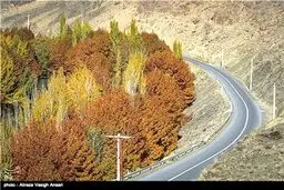طبیعت زرد و زیبای اصفهان به روایت تصویر