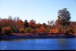 نخستین تصاویر از زنده‌شدن زاینده‌رود