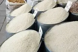 رفع ابهام از سفره ایرانی؛ در بازار برنج چه خبر است؟