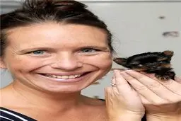 سگ 4 اینچی/تصویر