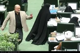 حواشی صحن علنی مجلس شورای اسلامی/تصاویر