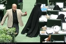 حواشی صحن علنی مجلس شورای اسلامی/تصاویر