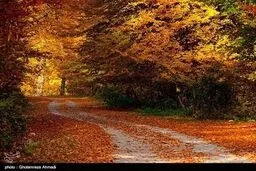 طبیعت زیبای پاییزی بهشهر/تصاویر