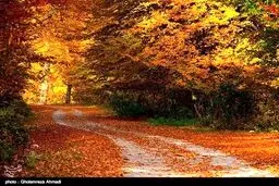 طبیعت زیبای پاییزی بهشهر/تصاویر