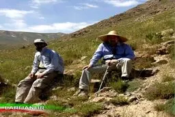 لاریجانی در حال کوهنوردی/ عکس