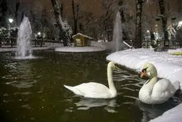 بارش برف سنگین در آنکارا / عکس