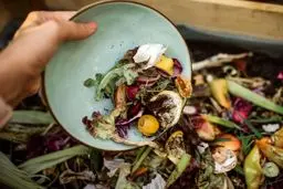 آمار عجیب دورریز غذا در کشور ؛ معادل غذای ۱۵ میلیون ایرانی!