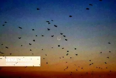 استهلال