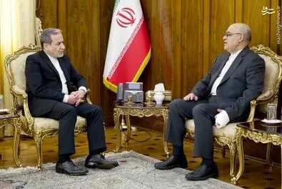 مجتبی امانی