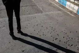 دستگیری ۲۲ تروریست داعشی قبل از حمله به زائران اربعین حسینی