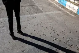 دستگیری ۲۲ تروریست داعشی قبل از حمله به زائران اربعین حسینی