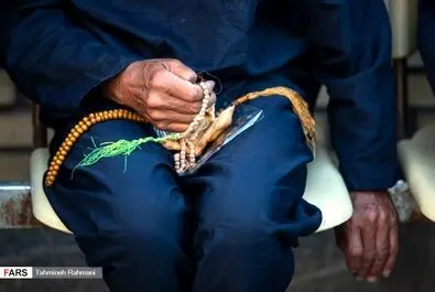 گرمخانه تهران