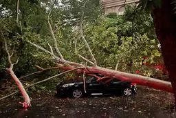 تصاویری از خسارت های طوفان در تهران