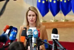 ورود اتحادیه اروپا به پرونده هواپیمای آذربایجانی