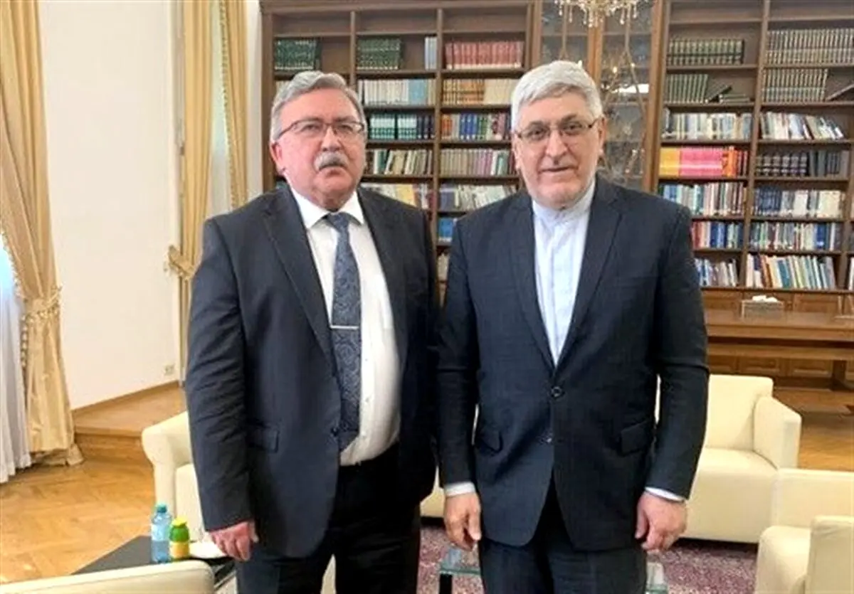 دیدار نمایندگان تهران و مسکو در سازمان‌های بین‌المللی در وین