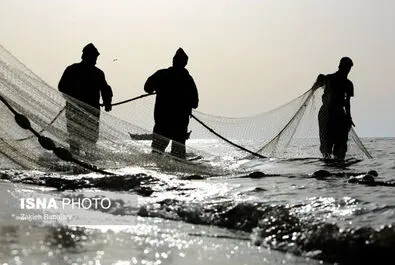 صید ماهی