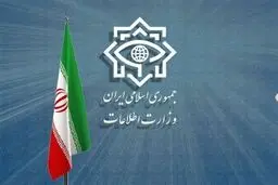وزارت اطلاعات بیانیه مهم داد + متن