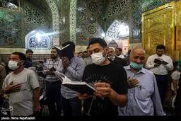تصاویر تعویض گل های ضریح مطهر امام رضا(ع)