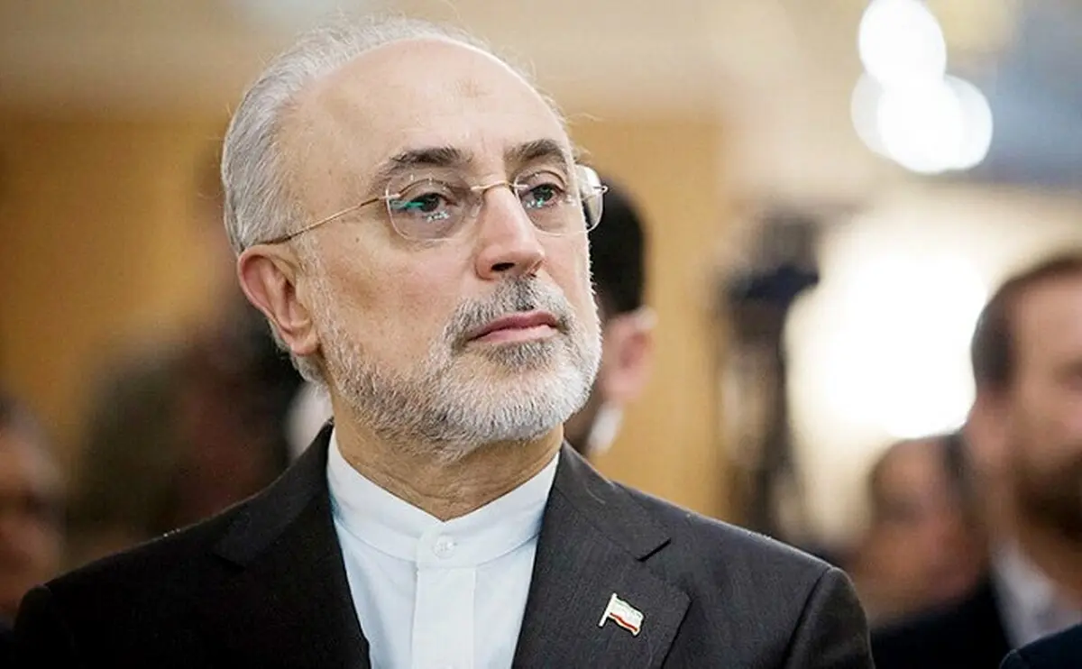 صالحی: در دوران روحانی سنگ فتنه می‌بارید/ این دولت در میدان جنگ طاقت فرسا از پا در نیامد