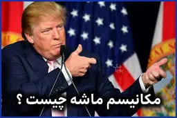 اسنپ بک محصول تعلل در پیوستن به FATF بود