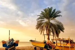 پشت پرده خبر پیش فروش بندر جاسک به هندی ها ! + جزئیات عجیب