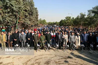 62824999_Negin-Hemmatzadeh-36