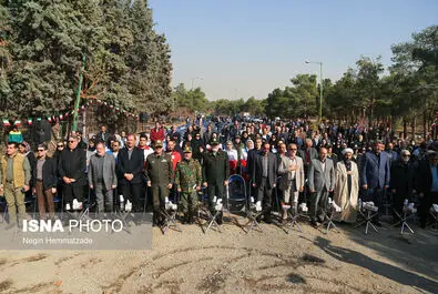 62824999_Negin-Hemmatzadeh-36