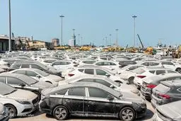 تصاویر باورنکردنی از خودروهای لاکچری که خاک می خورند 