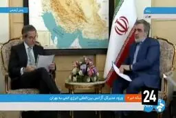 ورود مدیرکل آژانس بین المللی انرژی اتمی به ایران